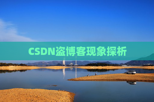 CSDN盗博客现象探析 CSDN盗博客现象探析